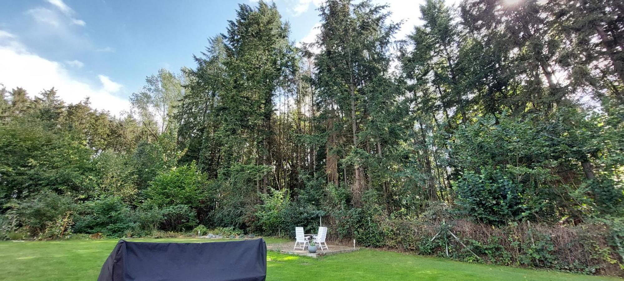 Villa Nebenan Soltau Esterno foto